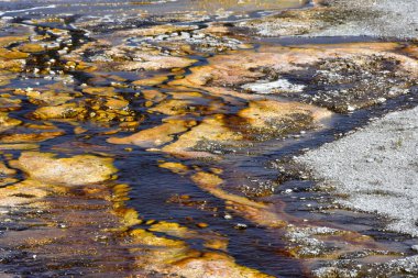 Geyser Tepesi Yellowstone Ulusal Parkı.