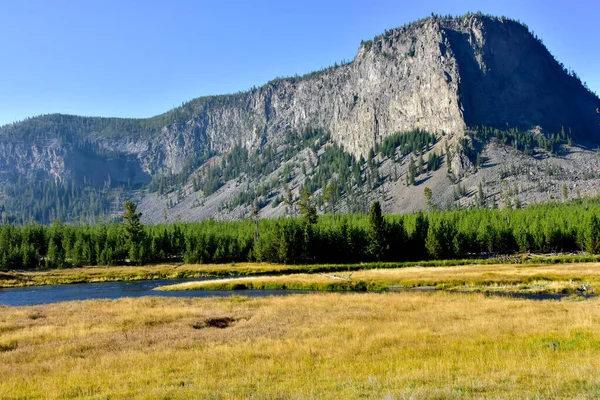 Madison River Yellowstone Nationalpark — Stockfoto