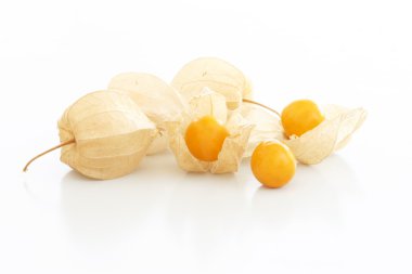 Cape bektaşi üzümü (Physalis)