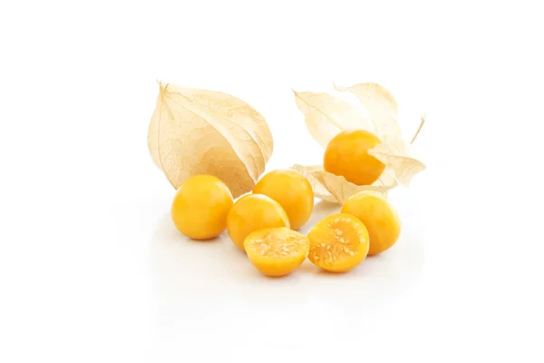 Cape krusbär (Physalis) — Stockfoto