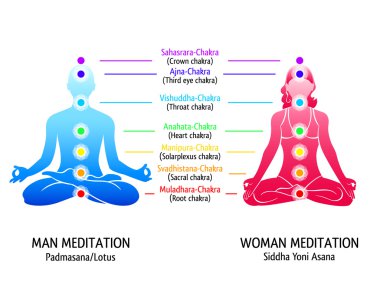 Yoga chakras diagram
