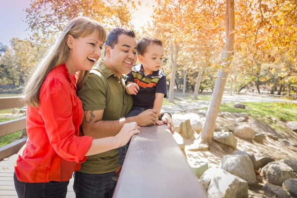 Karışık ırk aile keyfini bir gün parkta — Stok fotoğraf