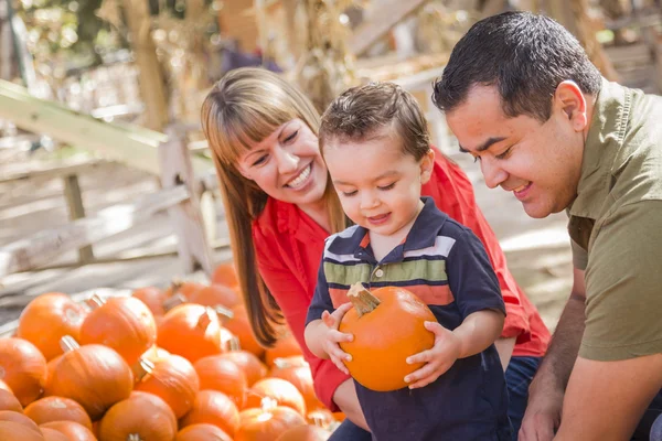 Familia de raza mixta feliz en el parche de calabaza —  Fotos de Stock