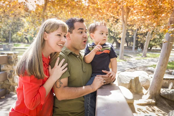 Karışık ırk aile keyfini bir gün parkta — Stok fotoğraf