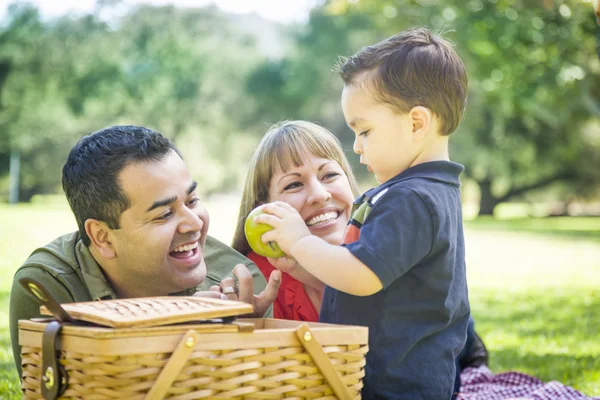 Mischlingsfamilie genießt Picknick im Park — Stockfoto