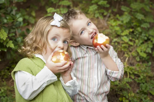 Adorável irmão e irmã crianças comendo maçãs fora — Fotografia de Stock