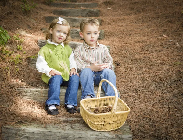 Due bambini su gradini di legno con cesto di pigne — Foto Stock