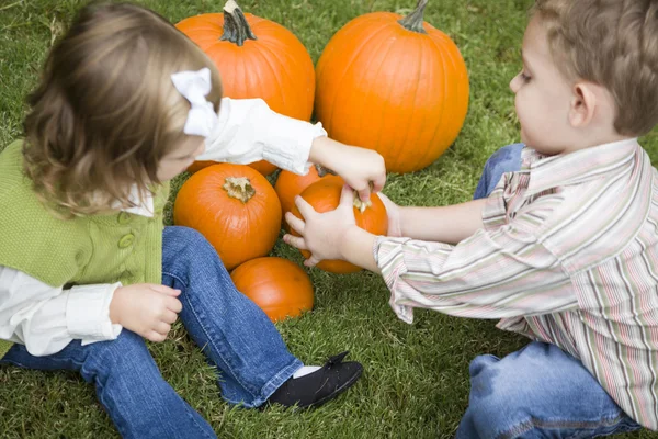 Cute Young Brother and Sister At the Pumpkin Patch — Stock Fotó