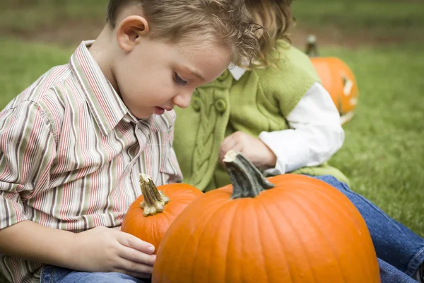 Carino giovane fratello e sorella a la zucca patch — Foto Stock