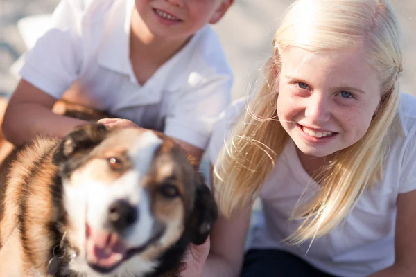 Cure ragazza giocare con il suo cane al di fuori — Foto Stock