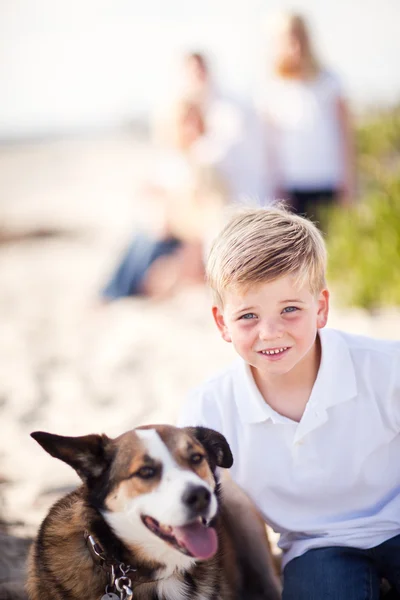 Handsome Young Boy Playing with His Dog Stock Image