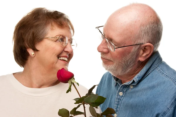 Feliz marido mayor dando rosa roja a la esposa — Foto de Stock