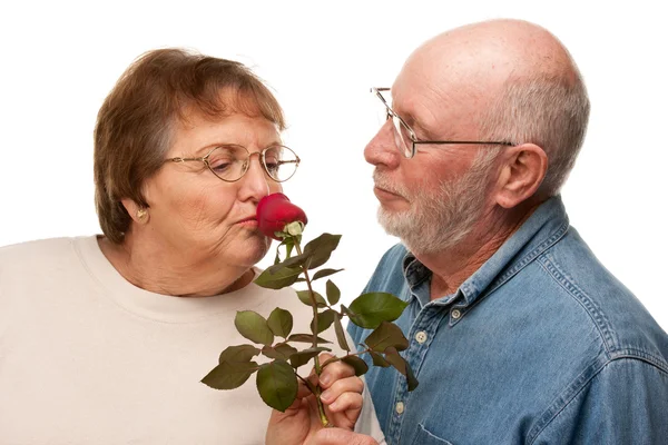 Marido Sênior feliz dando rosa vermelha à esposa — Fotografia de Stock