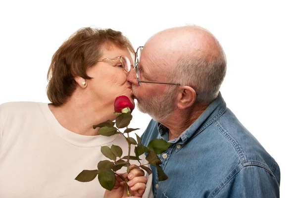 Happy Senior Husband Giving Red Rose to Wife Royalty Free Stock Photos