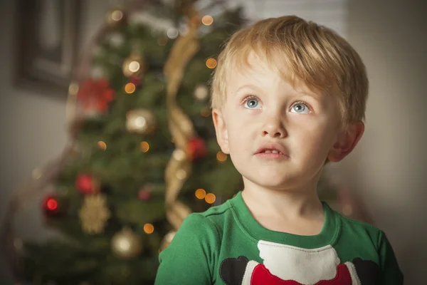 木の近くのクリスマスの朝を楽しむ若い男の子 — ストック写真