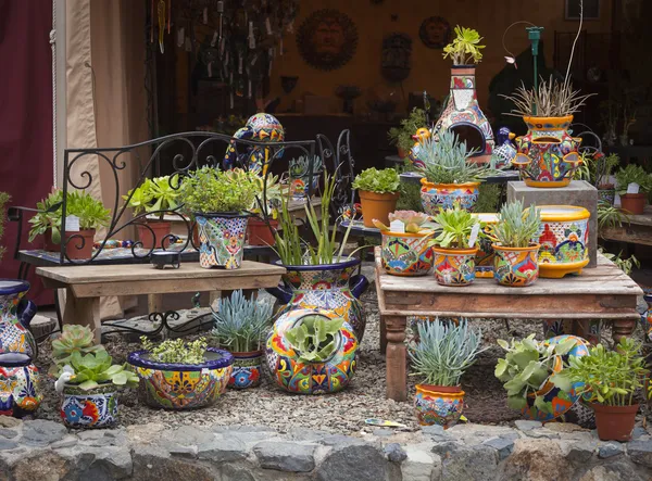 Tienda al aire libre de macetas y suculentas decorativas — Foto de Stock