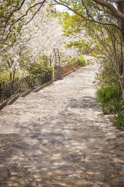 Bella Passerella Parco lussureggiante — Foto Stock