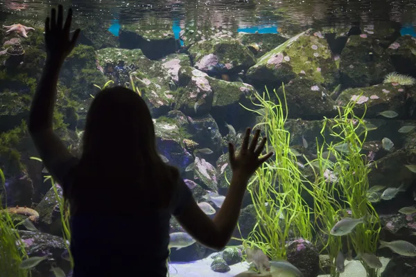 Junges Mädchen erhebt sich gegen großes Aquarium-Beobachtungsglas — Stockfoto