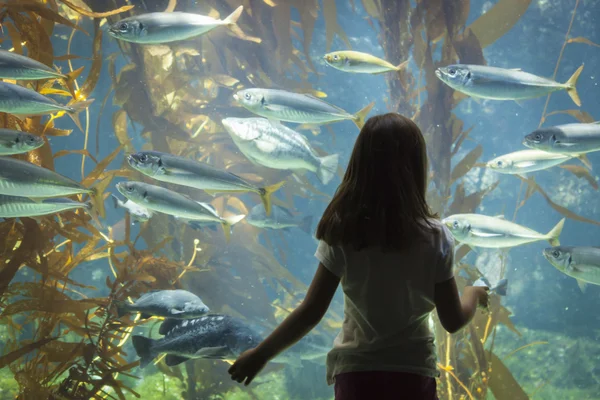 年轻女孩站大型水族馆观察玻璃 — 图库照片