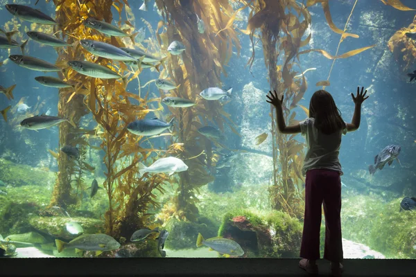 年轻女孩站大型水族馆观察玻璃 — 图库照片