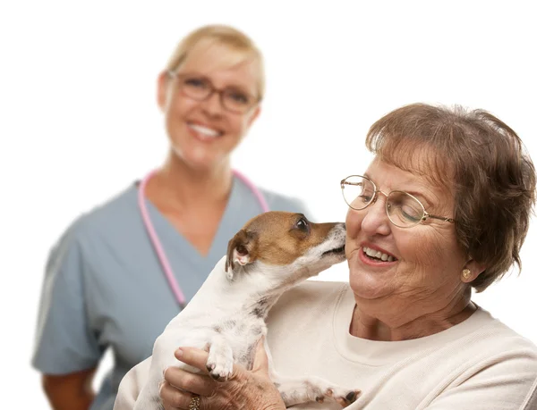 Mulher sênior feliz com cão e veterinário — Fotografia de Stock