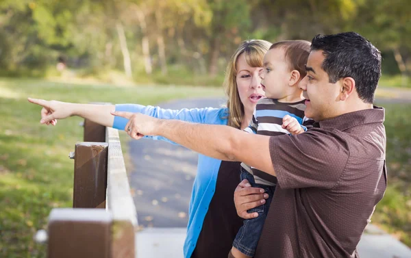 Glad blandad ras familj spelar i parken — Stockfoto