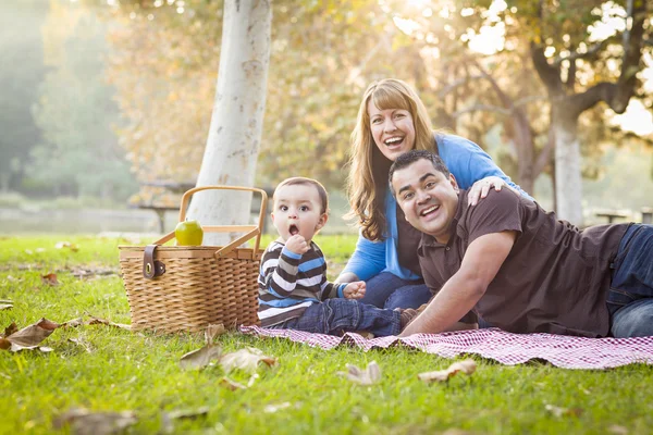 Felice razza mista etnica famiglia avendo un pic-nic nel parco — Foto Stock