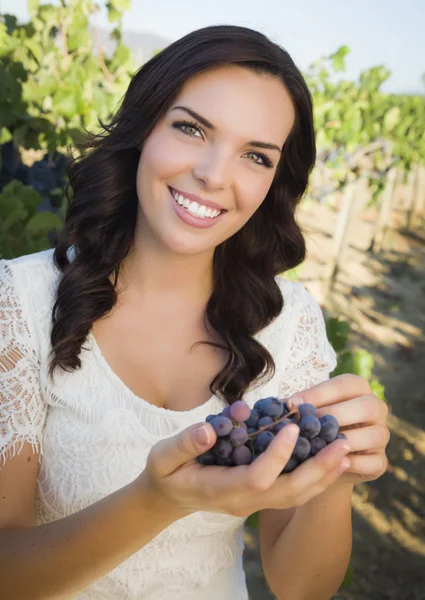 Jeune femme adulte appréciant les raisins de vin dans le vignoble — Photo