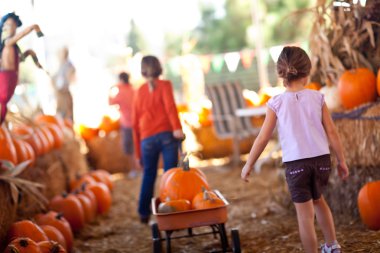 sevimli küçük kız onların pumpkins bir vagon çekme