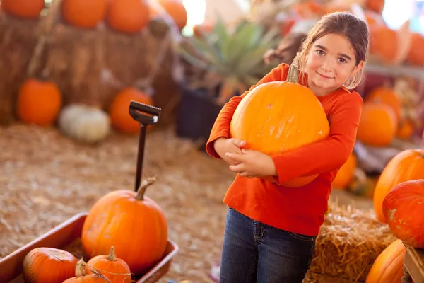 Cute Girl Choosing A Pumpkin — Stock Photo, Image