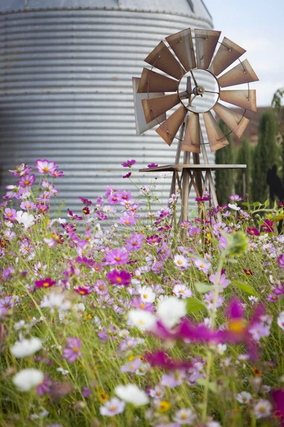Antike Bauernwindmühle und Silo auf einem Blumenfeld — Stockfoto