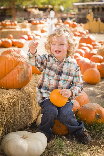 Kleine jongen zitten en houden zijn pompoen op pompoen patc — Stockfoto