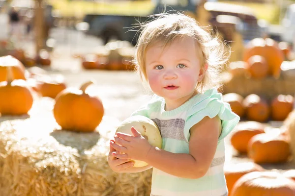 Очаровательная малышка держит тыкву в тыквенном соусе — стоковое фото