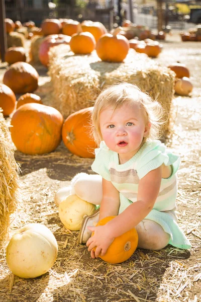 Adorable bébé fille tenant une citrouille au Patc de citrouille — Photo