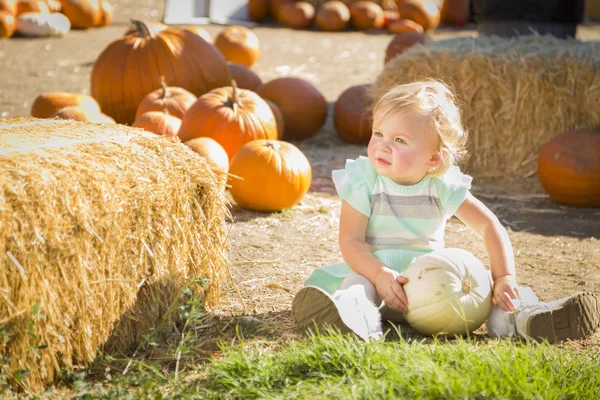 Adorable niña sosteniendo una calabaza en el Pumpkin Patc —  Fotos de Stock