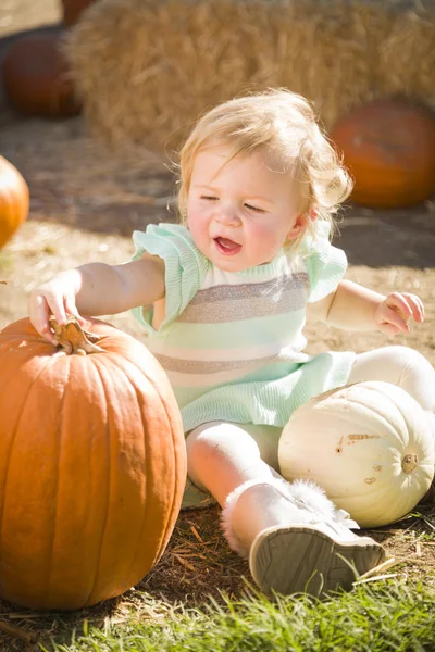 Adorable Baby Girl Holding a Pumpkin at the Pumpkin Patc — Stock Photo, Image