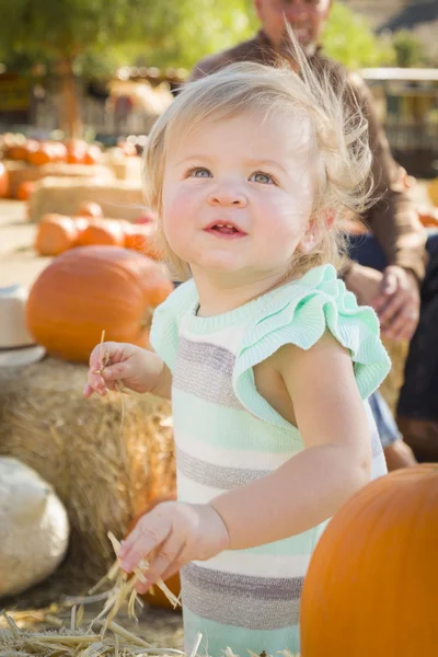 Adorável bebê menina se divertindo no Patc abóbora — Fotografia de Stock