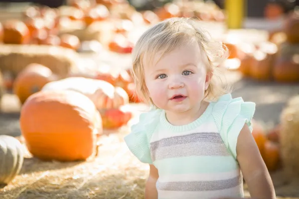 Adorable bebé chica tener divertido en la calabaza patc —  Fotos de Stock