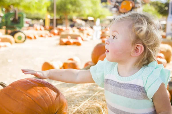 Adorable Baby Girl Having Fun at the Pumpkin Patc — Stock Photo, Image