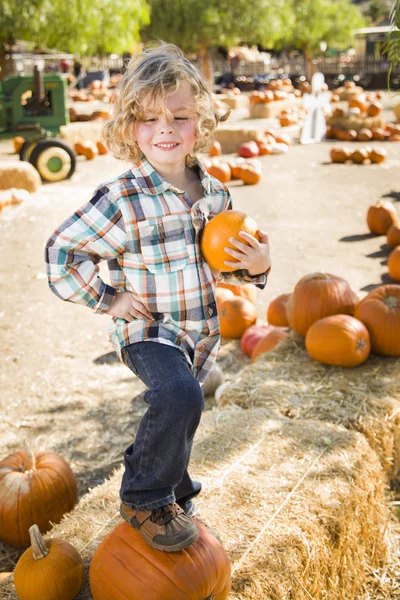 Pequeño niño sosteniendo su calabaza en una calabaza Patc —  Fotos de Stock