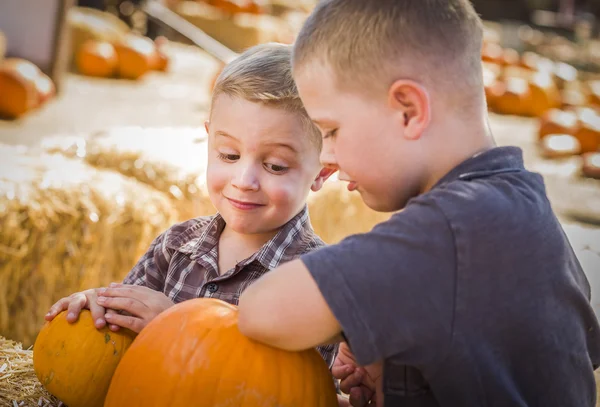 Dos chicos en el parche de calabaza hablando y teniendo Fu —  Fotos de Stock