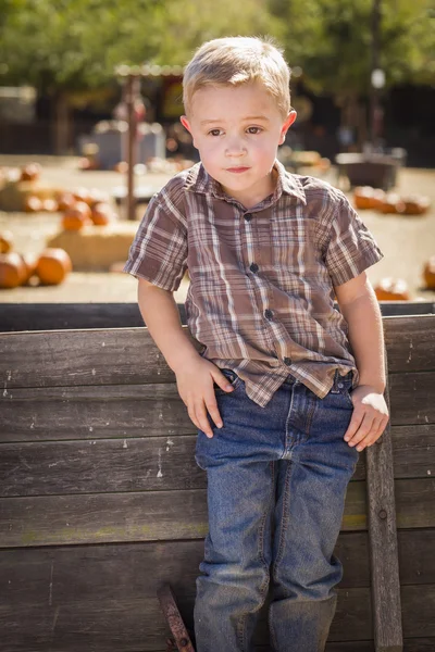 Malý chlapec s rukama v kapsách na dýňové Kateřina — Stock fotografie