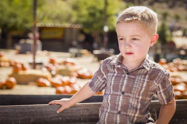 Kleiner Junge steht am Kürbiszaun gegen alten Holzwagen — Stockfoto