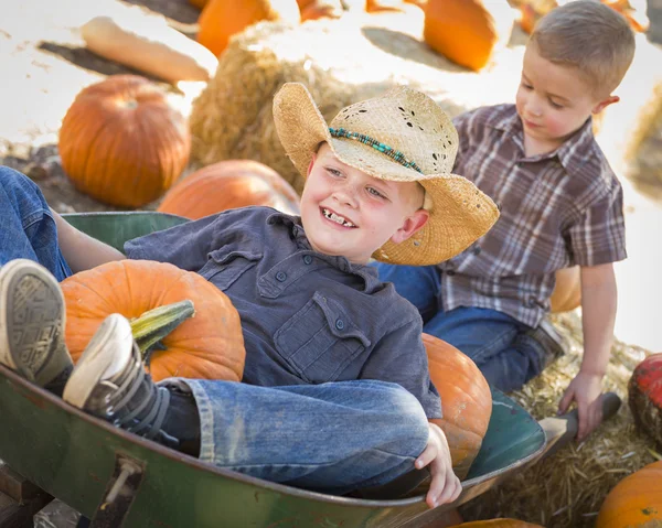 Twee kleine jongens spelen in kruiwagen op de pompoen patc — Stockfoto