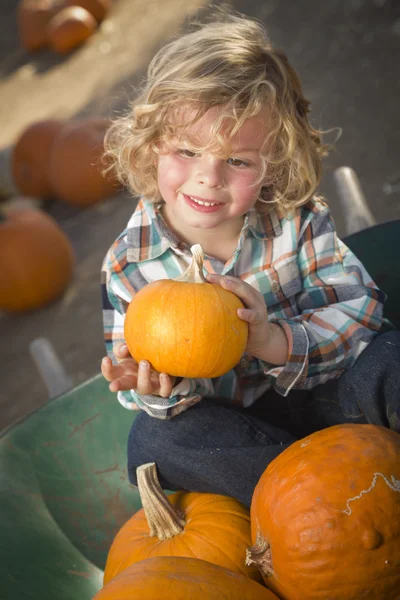 Kleine jongen zitten en houden zijn pompoen op pompoen patc — Stockfoto