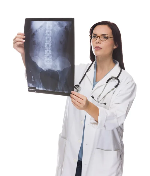 Gemengd ras vrouwelijke arts of verpleegkundige herziening x-ray op wit — Stok fotoğraf