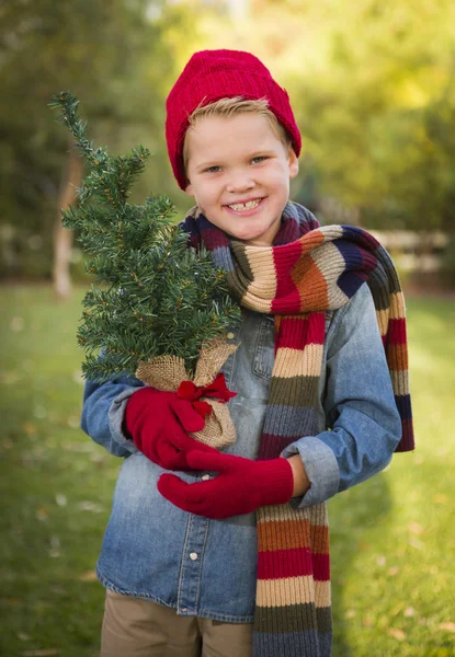 Niño joven con ropa navideña sosteniendo un pequeño árbol de Navidad — Foto de Stock