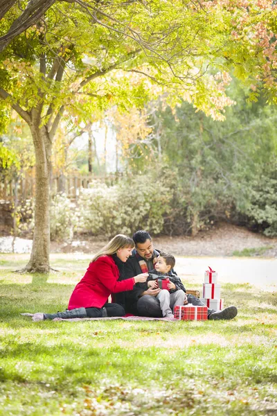 Gemengd ras familie genieten van de giften van Kerstmis in het park samen — Stockfoto