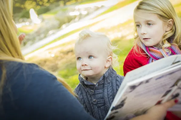 Mãe lendo um livro para suas duas adoráveis crianças loiras no parque — Fotografia de Stock
