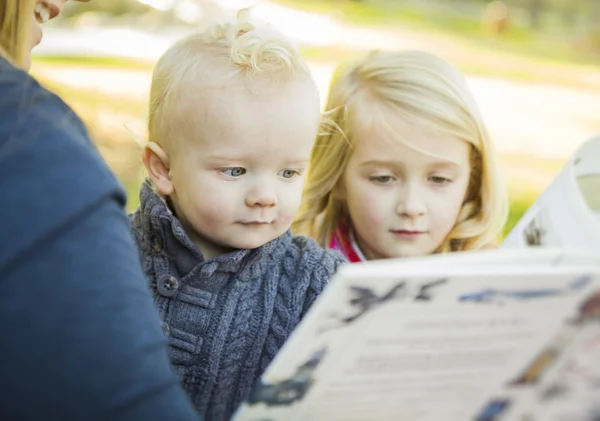 母亲读一本书给她两个的可爱金发碧眼的孩子出去在公园 — 图库照片